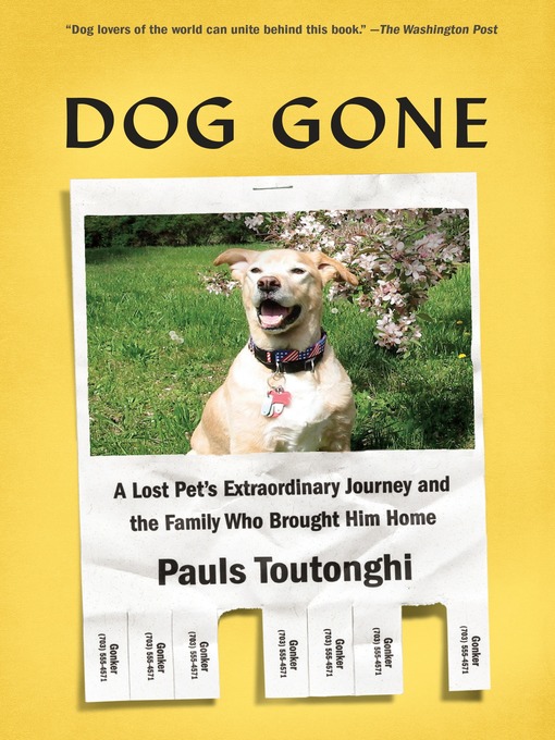 Cover image for Dog Gone